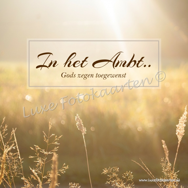 In het ambt - Grassen